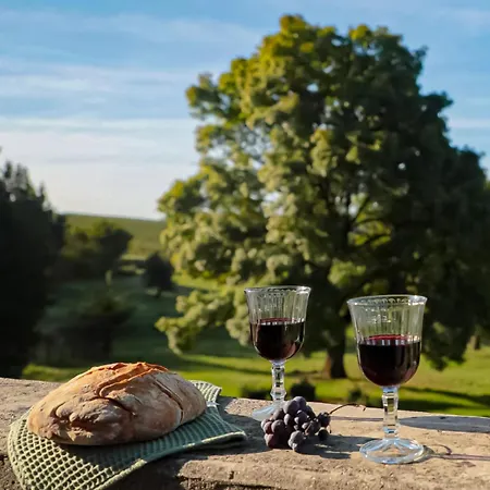 Château De Campanes Pensión